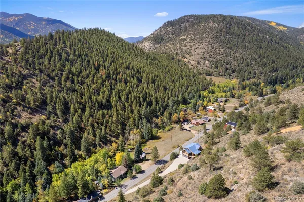 a view of a bunch of trees