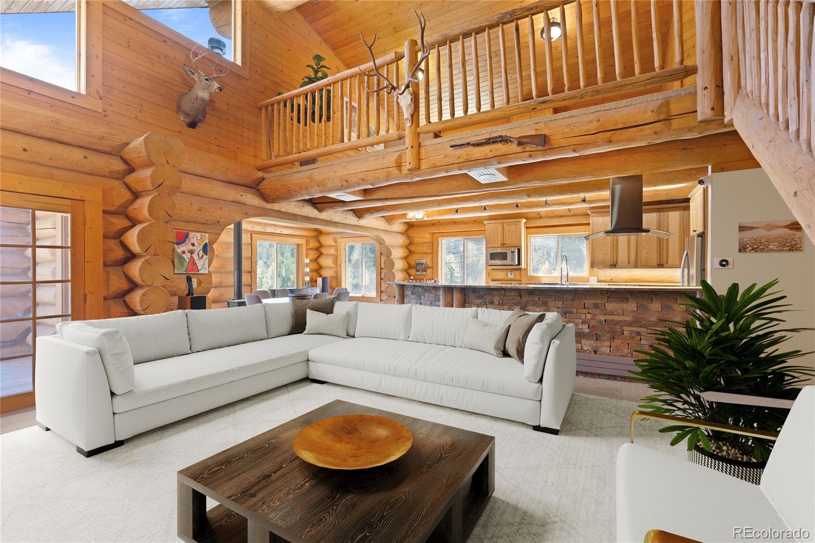 644 Mill Creek Road Dumont, CO 80436 - Photo 3 of 20