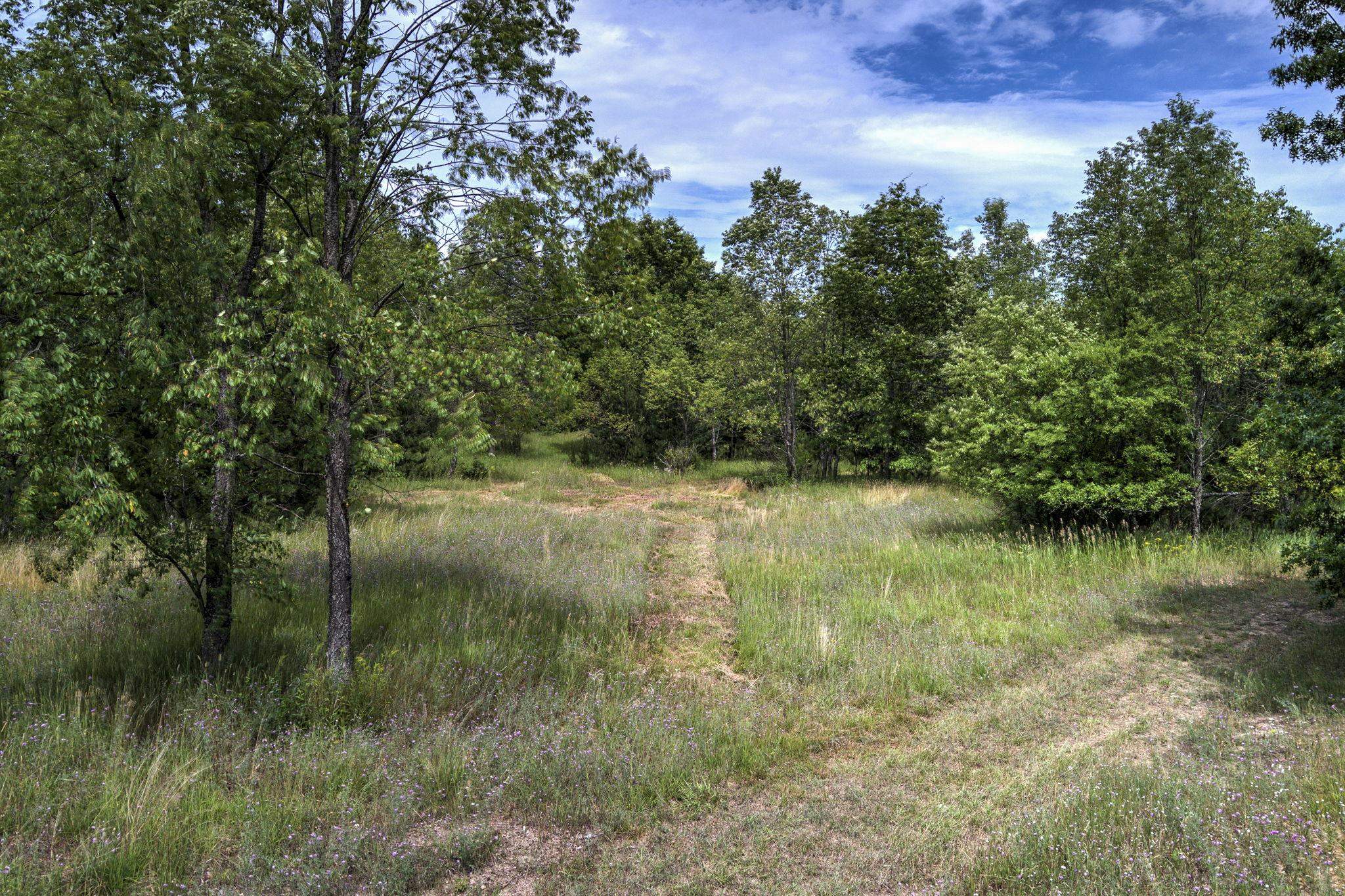 2625 Walton Road Kingsley, MI 49649 - Photo 57 of 59