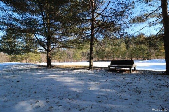 5662 Casey Road Dryden, MI 48428 - Photo 24 of 34 Park Like Setting
