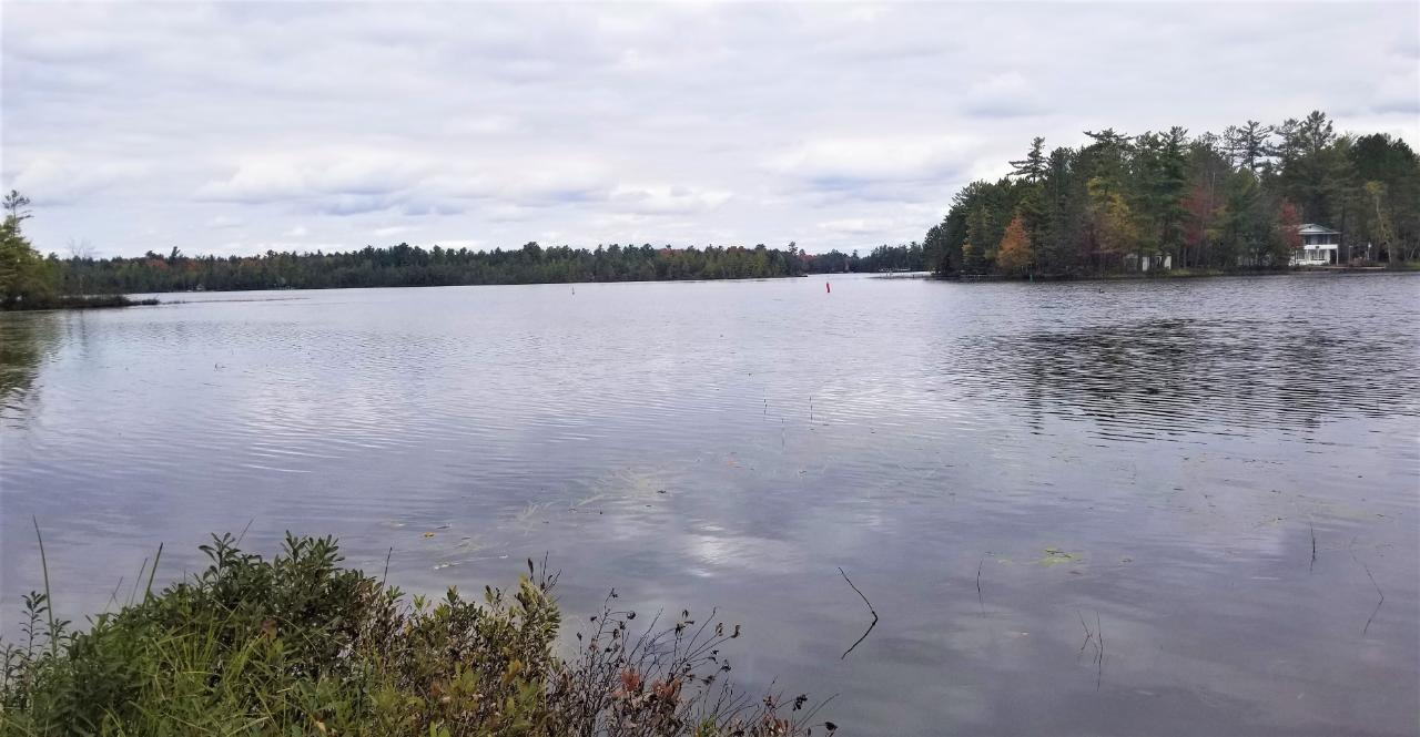 1040 North Big Lake Loop Road Three Lakes, WI 54562 - Photo 2 of 7 Gallery Image 2