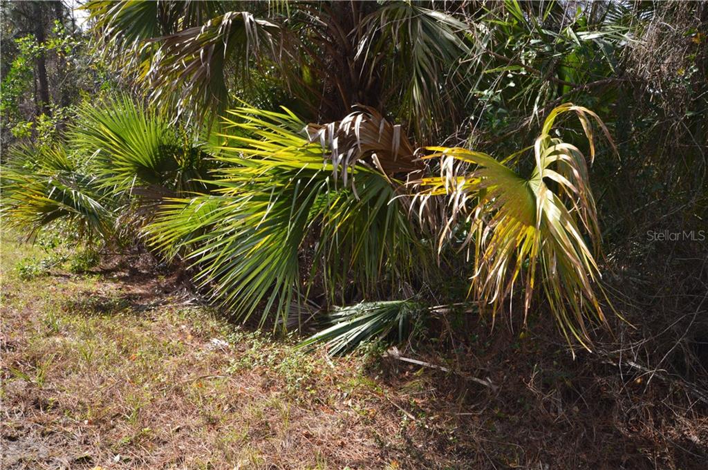Lot 21 Dustin Road North Port, FL 34288 - Photo 1 of 1 Gallery Image 1