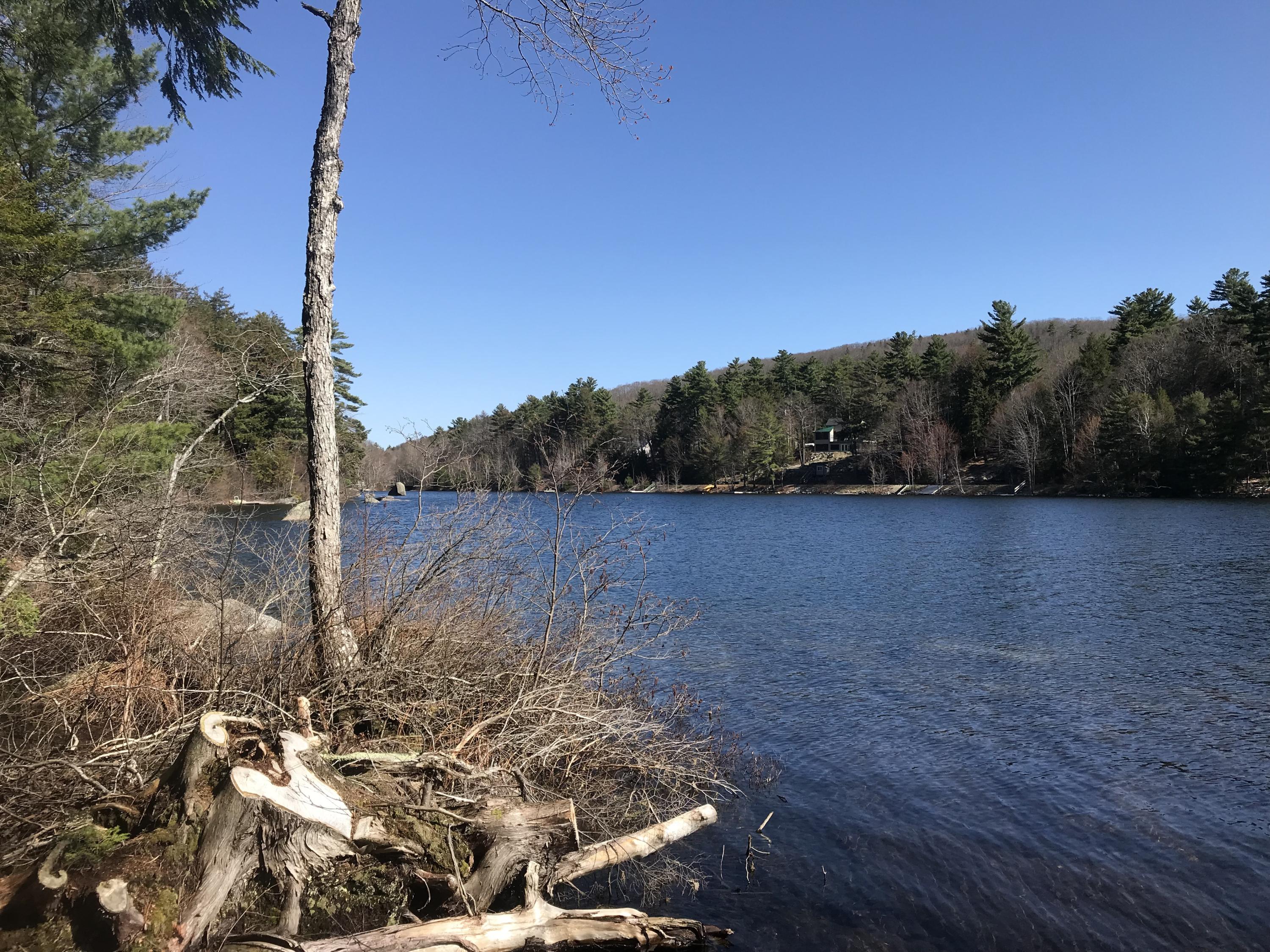 0 Fitts Mountain Road Dedham, ME 04429 - Photo 20 of 83 7wjYKLOYQMOaSMxK0BTwvg