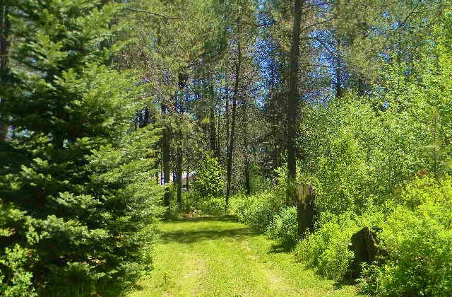 441 North Shore Diamond Lake Road Newport, WA 99156 - Photo 14 of 20 Gallery Image 14