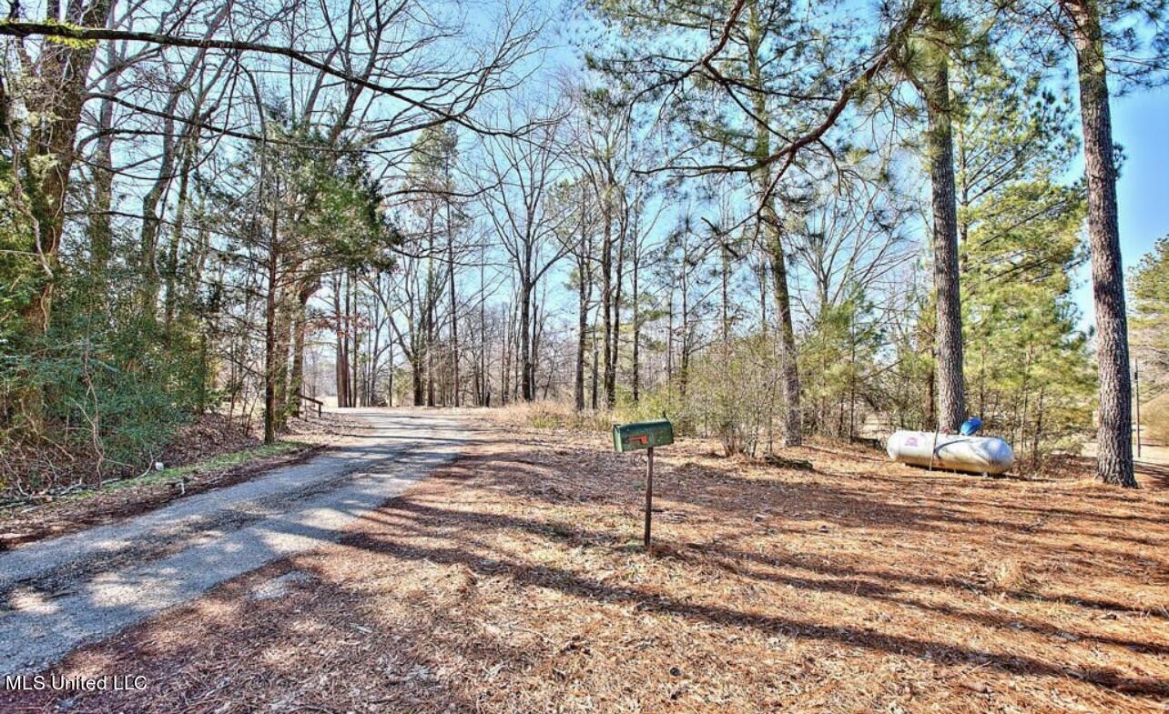 75 Cameron Road Senatobia, MS 38668 - Photo 3 of 20 F0E8FFAF-5DA2-4BAF-B278-54BB4468FF69