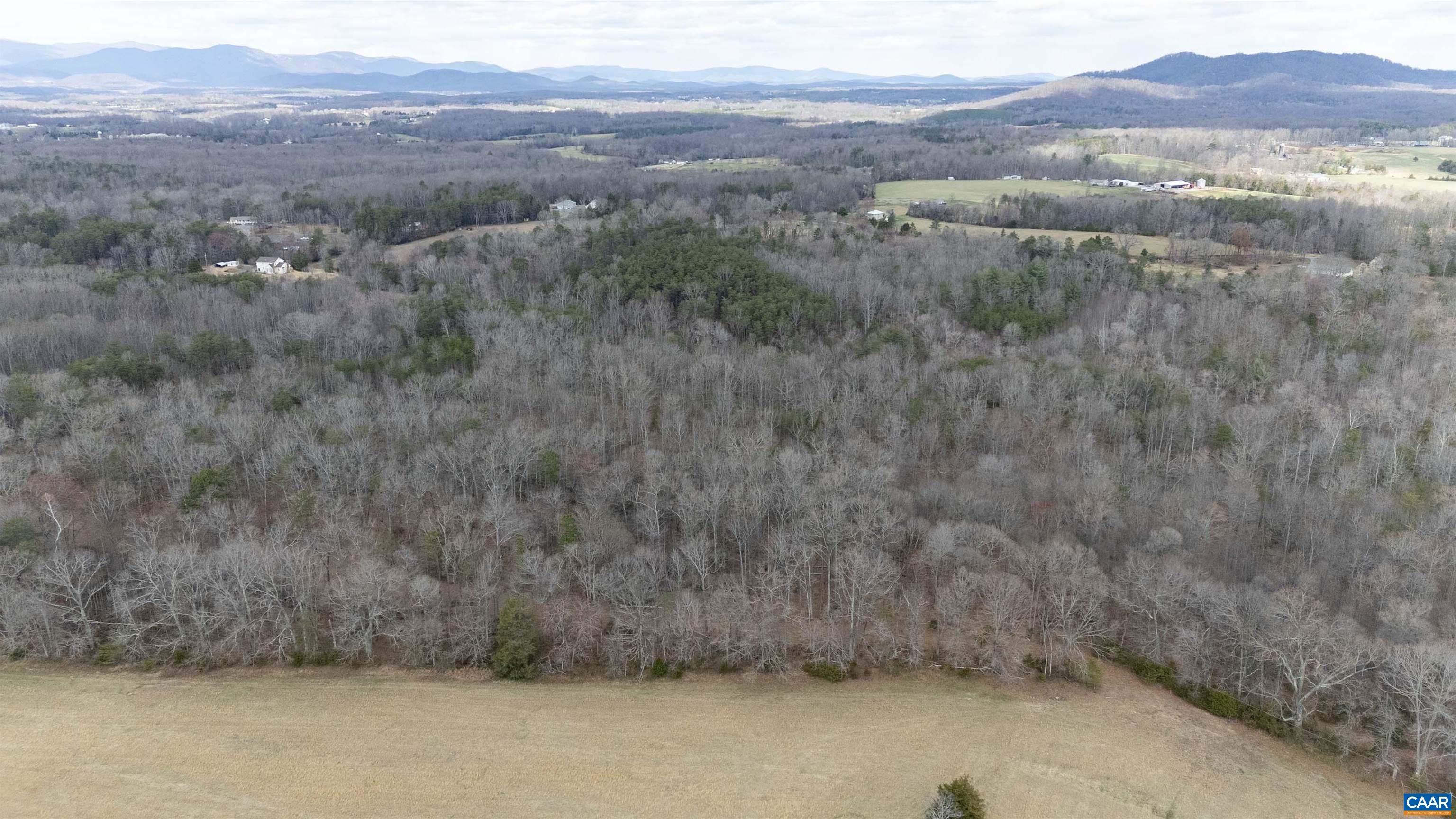 0 Elly Road Aroda, VA 22709 - Photo 11 of 34 a view of a dry yard