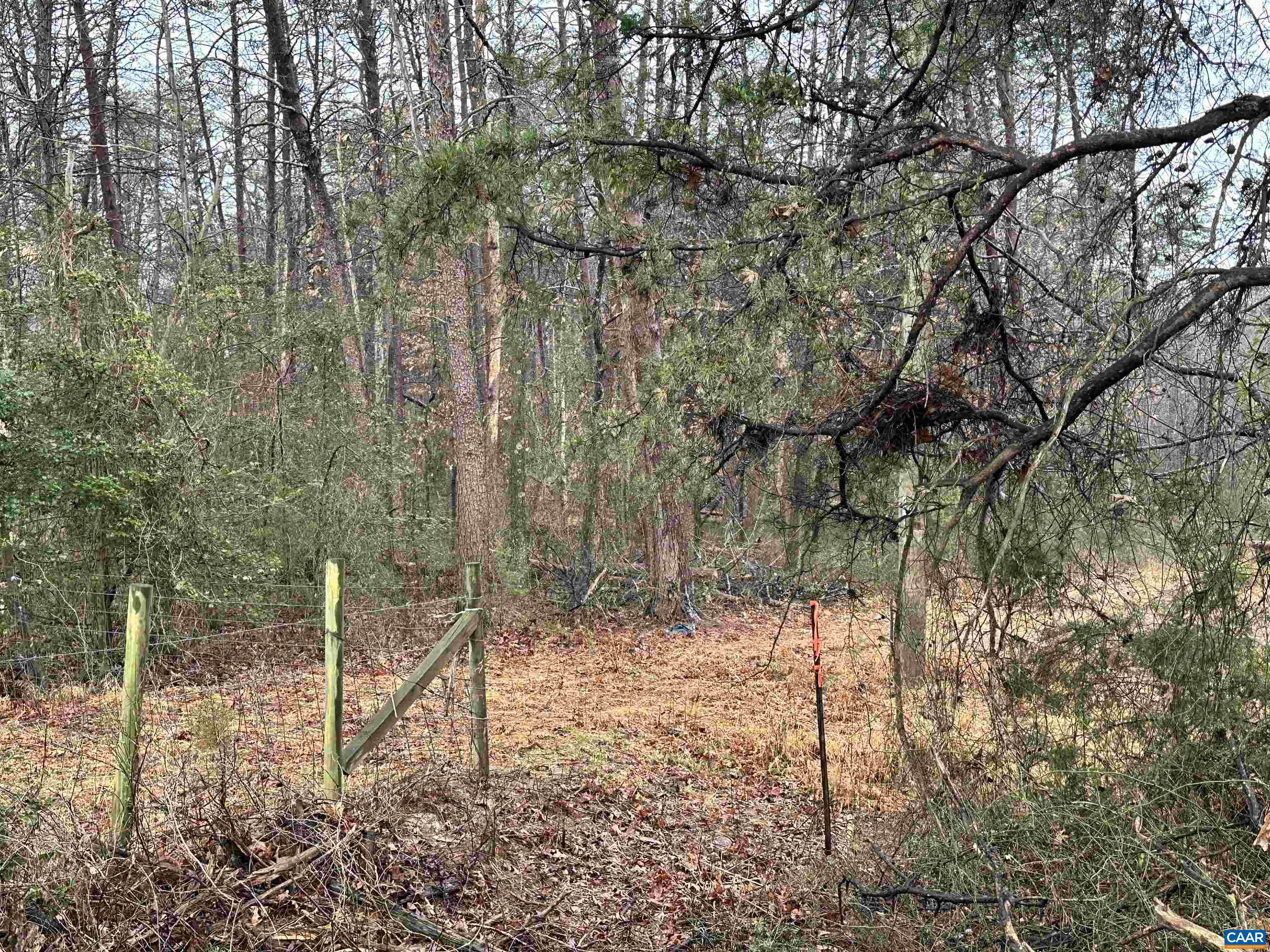 0 Elly Road Aroda, VA 22709 - Photo 18 of 34 a backyard of a house with lots of green space