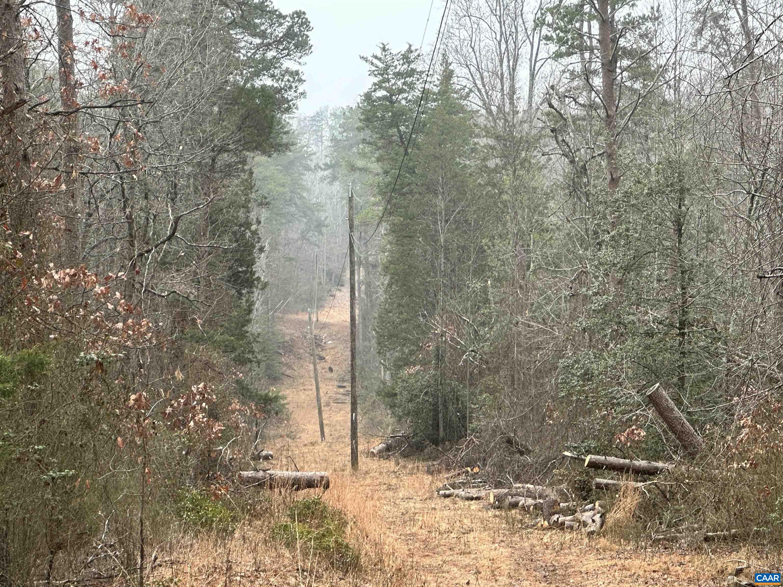 0 Elly Road Aroda, VA 22709 - Photo 21 of 34 a view of a forest