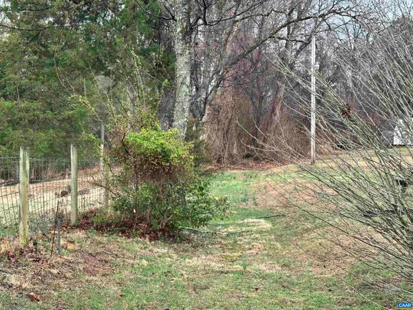 a view of a forest filled with trees
