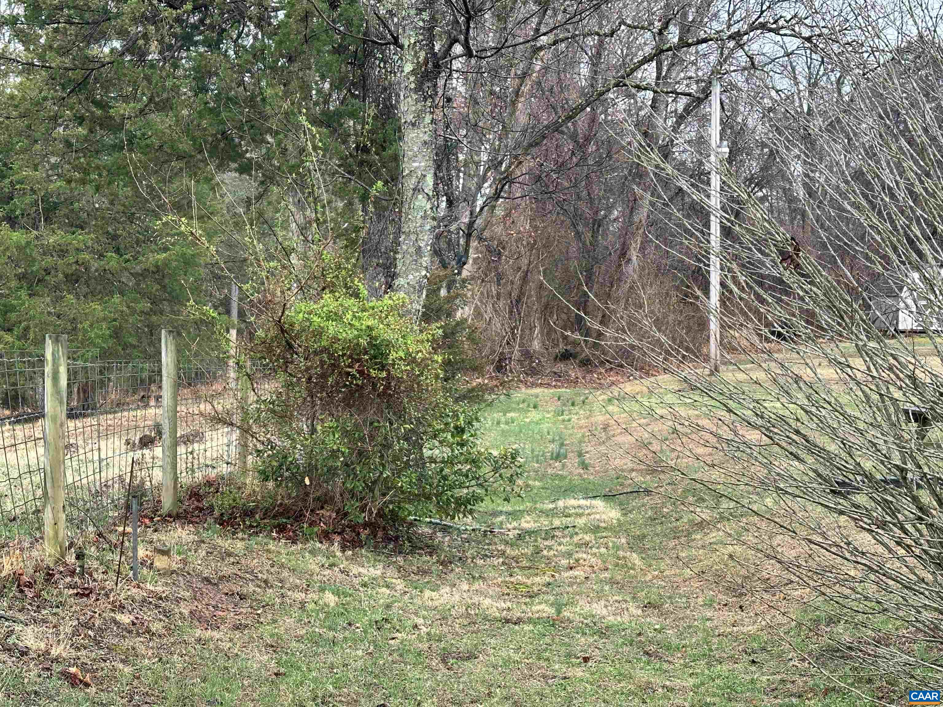 0 Elly Road Aroda, VA 22709 - Photo 25 of 34 a backyard of a house with plants and large trees
