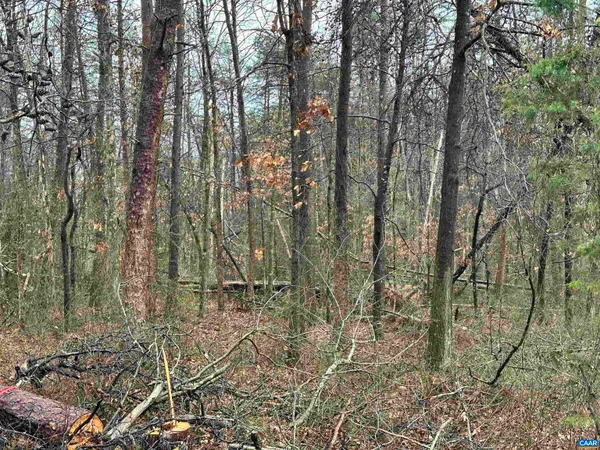 $330,000 | 0 Elly Road, Aroda, VA 22709