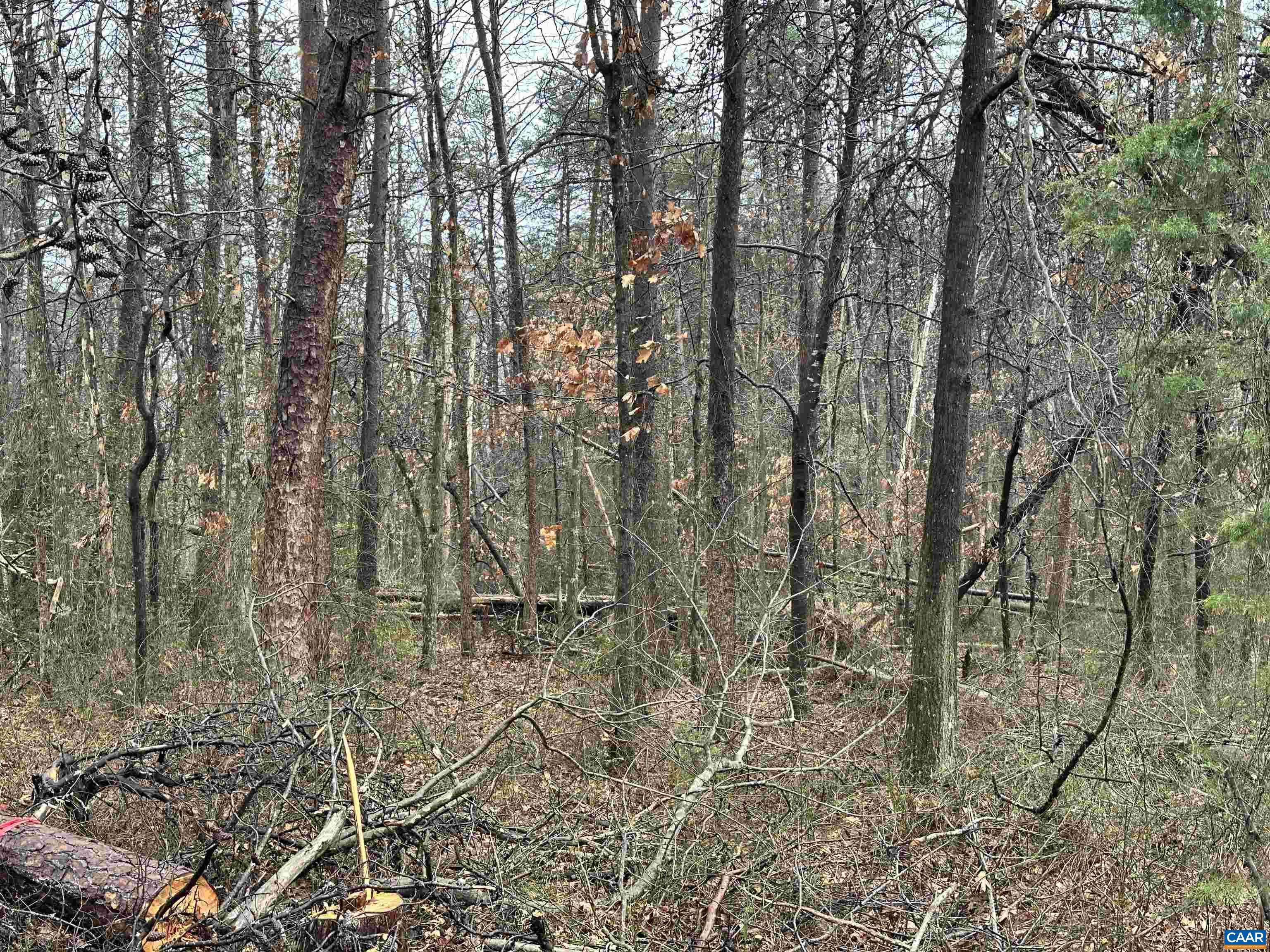 0 Elly Road Aroda, VA 22709 - Photo 28 of 34 a backyard of a house with lots of green space