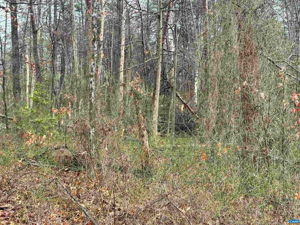 $330,000 | 0 Elly Road, Aroda, VA 22709