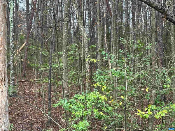 $330,000 | 0 Elly Road, Aroda, VA 22709