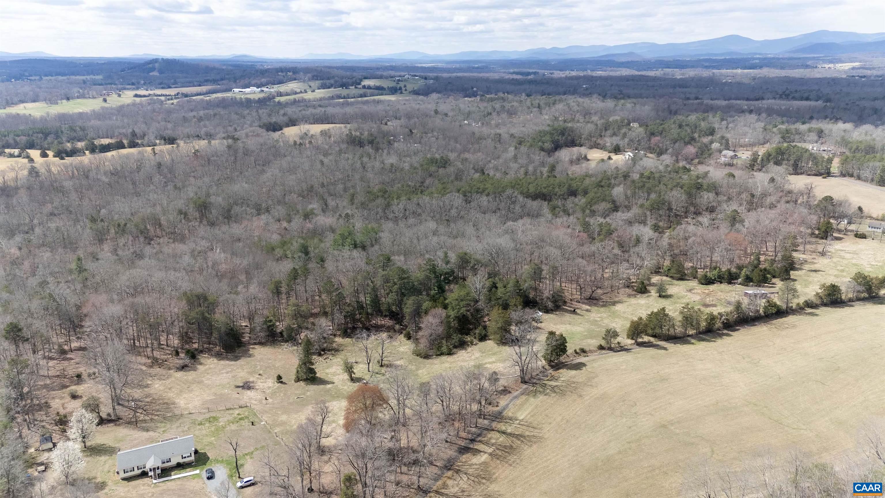 0 Elly Road Aroda, VA 22709 - Photo 6 of 34 a view of a dry yard covered with trees