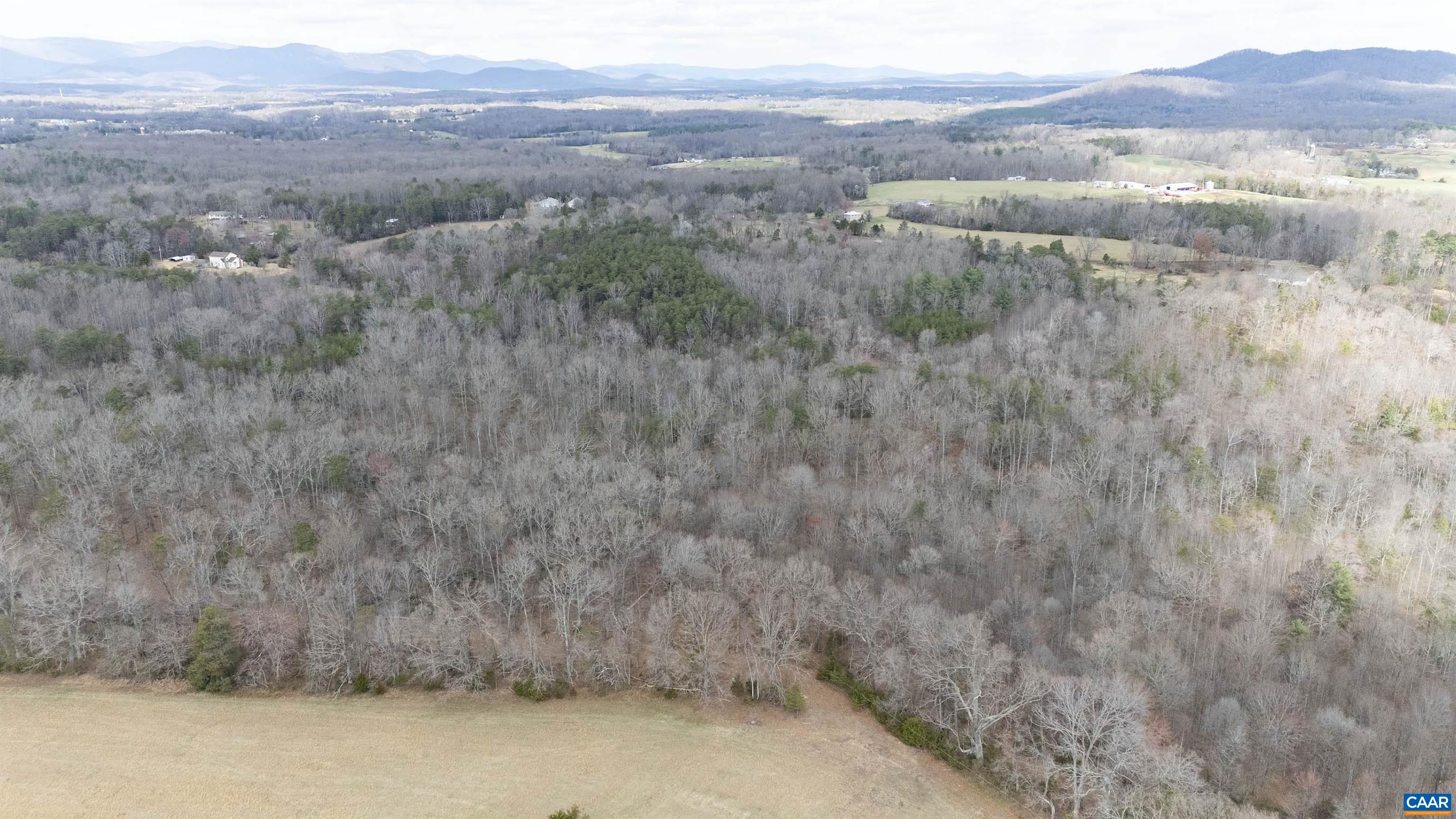 0 Elly Road Aroda, VA 22709 - Photo 10 of 34 a view of a dry yard with green space