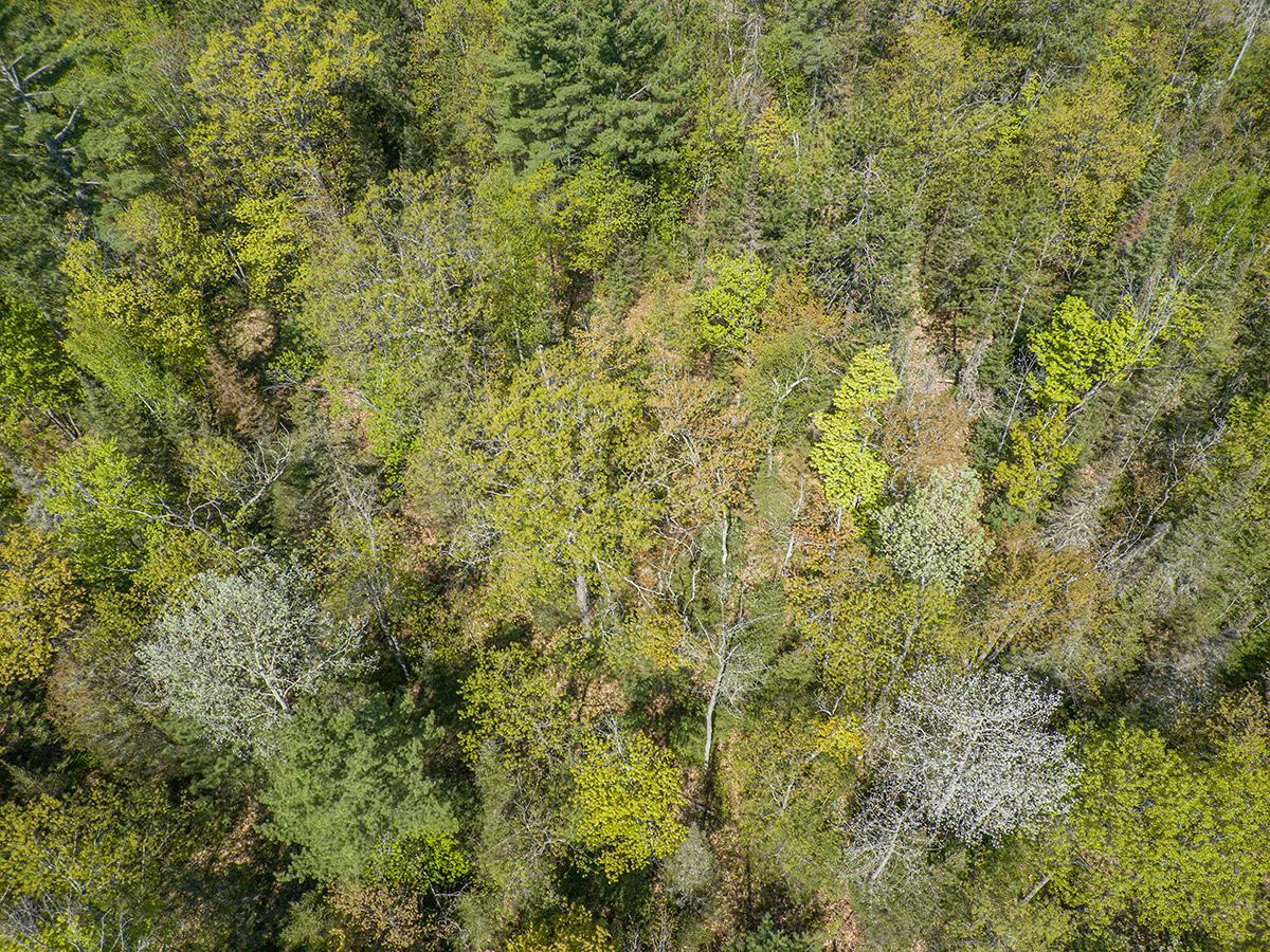 Off Sunset Road Eagle River, WI 54521 - Photo 16 of 33 Gallery Image 16