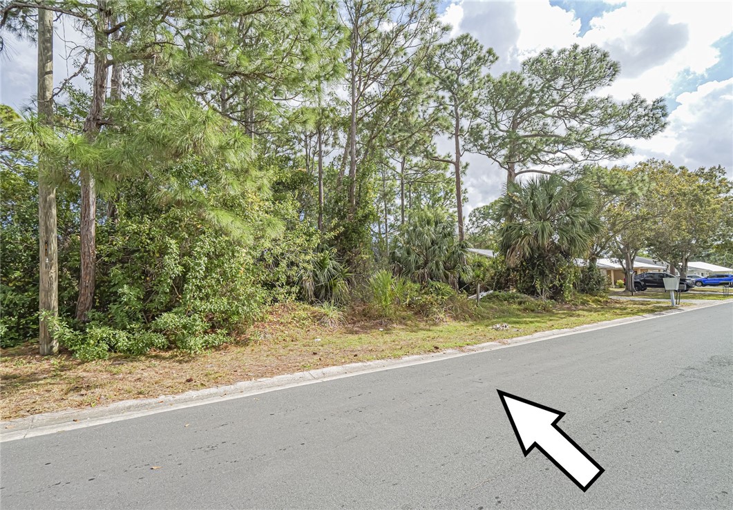 110 Marsh Street Sebastian, FL 32958 - Photo 5 of 10 a view of a yard with a tree