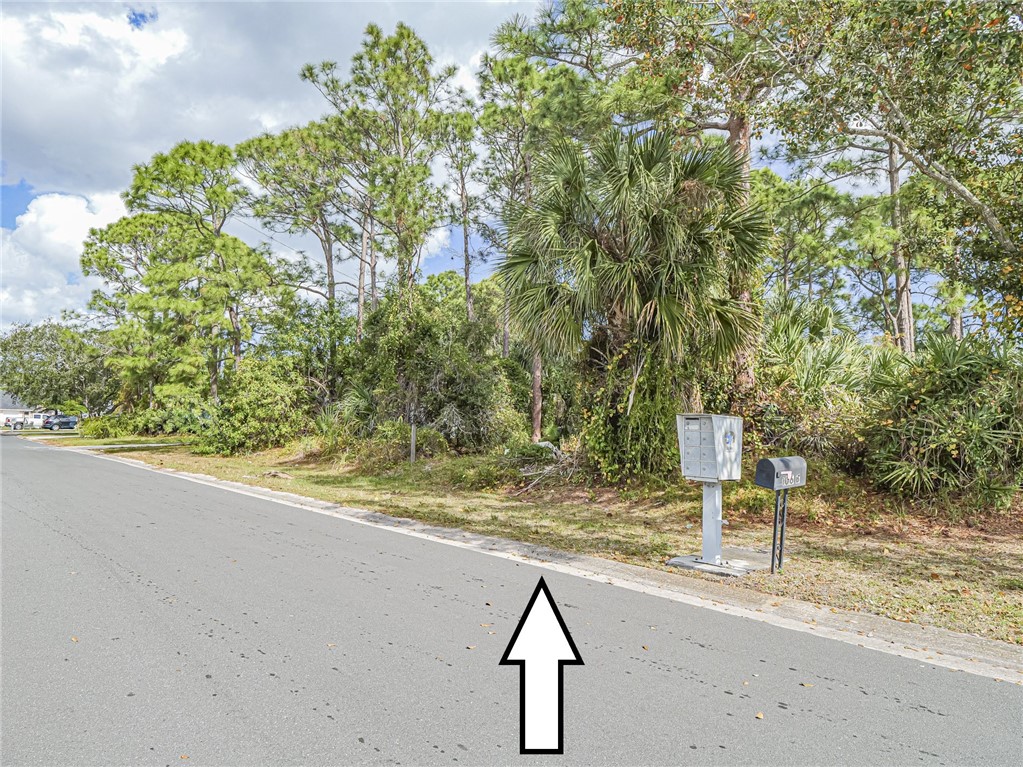 110 Marsh Street Sebastian, FL 32958 - Photo 6 of 10 a view of a yard with a tree