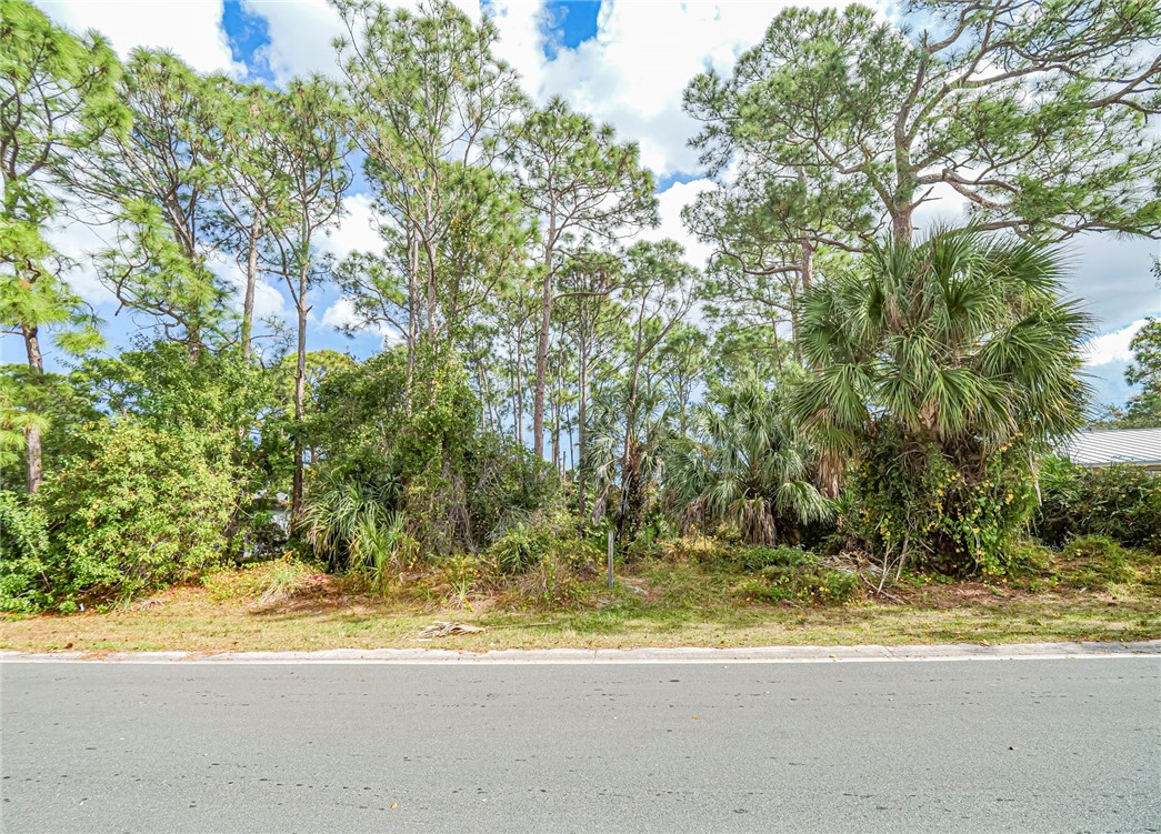 110 Marsh Street Sebastian, FL 32958 - Photo 7 of 10 a view of a yard with a tree