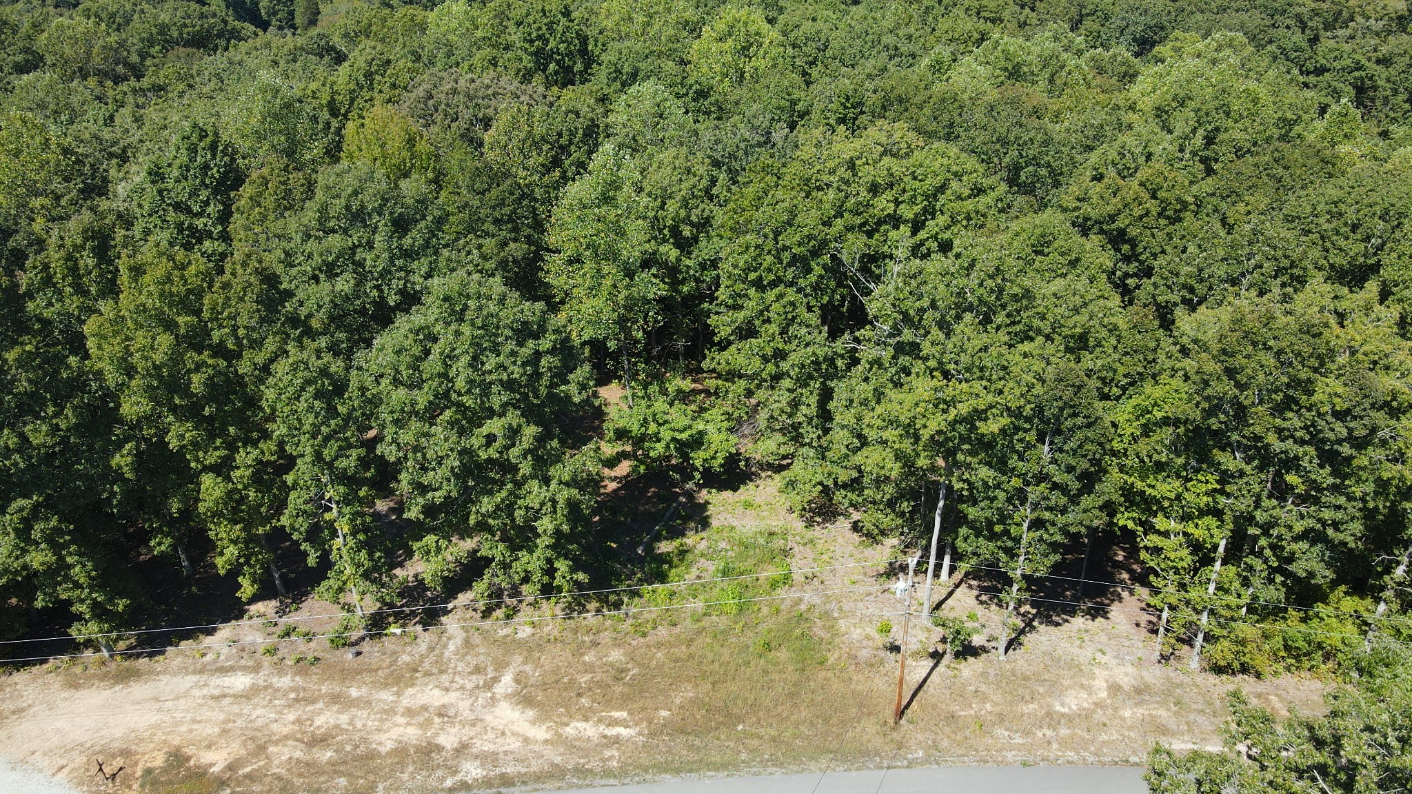 0 Mayne Trace Road Waverly, TN 37185 - Photo 2 of 9 a view of a yard