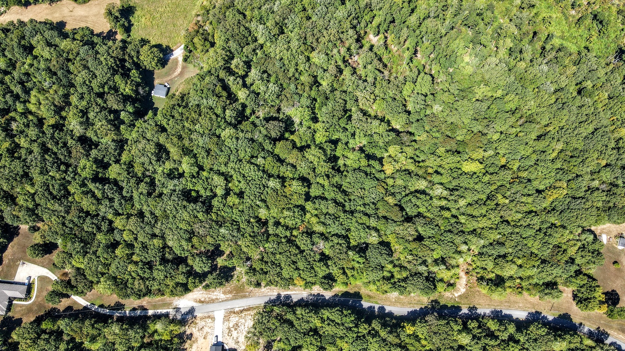 0 Mayne Trace Road Waverly, TN 37185 - Photo 5 of 9 a view of a lush green field