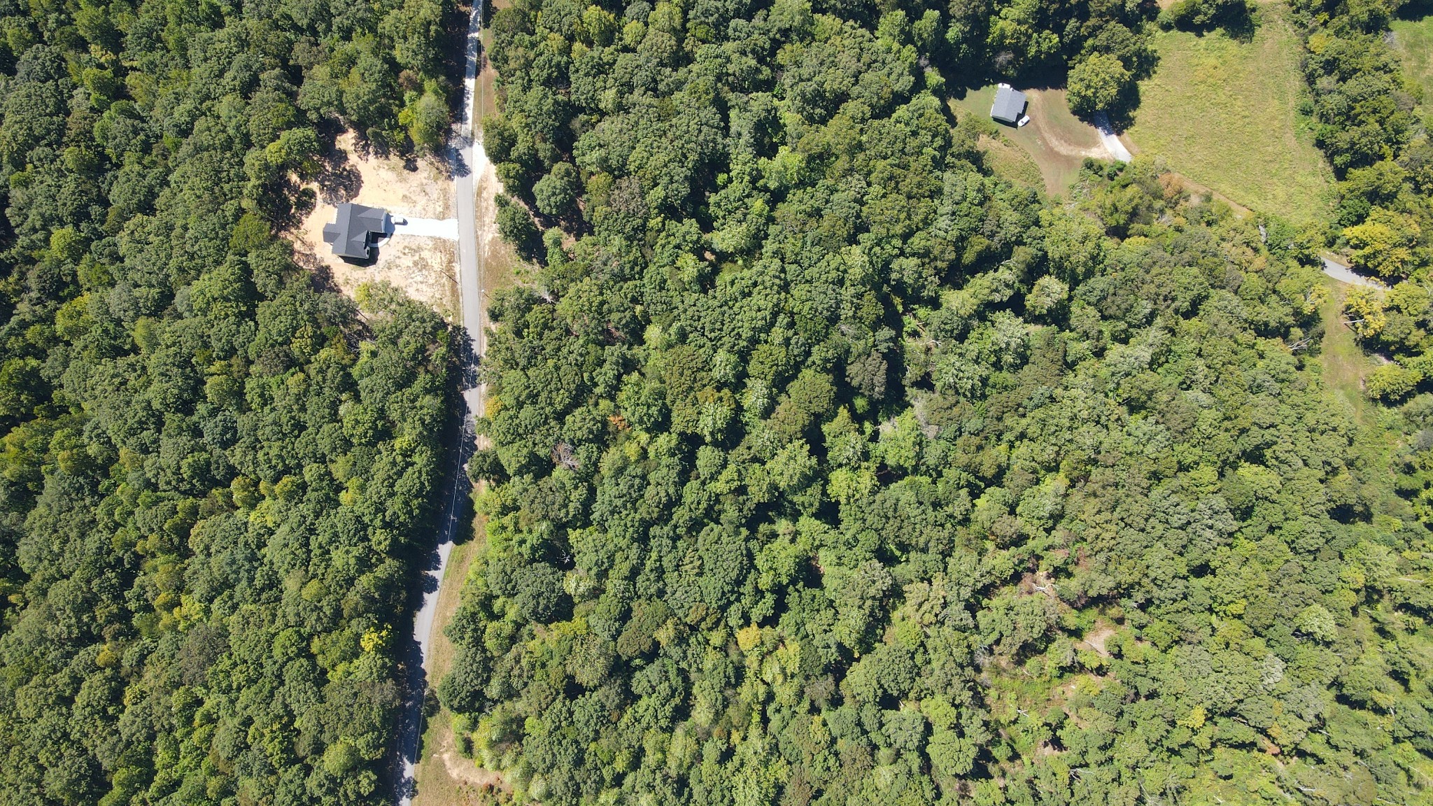 0 Mayne Trace Road Waverly, TN 37185 - Photo 6 of 9 a close up of a plant in a garden