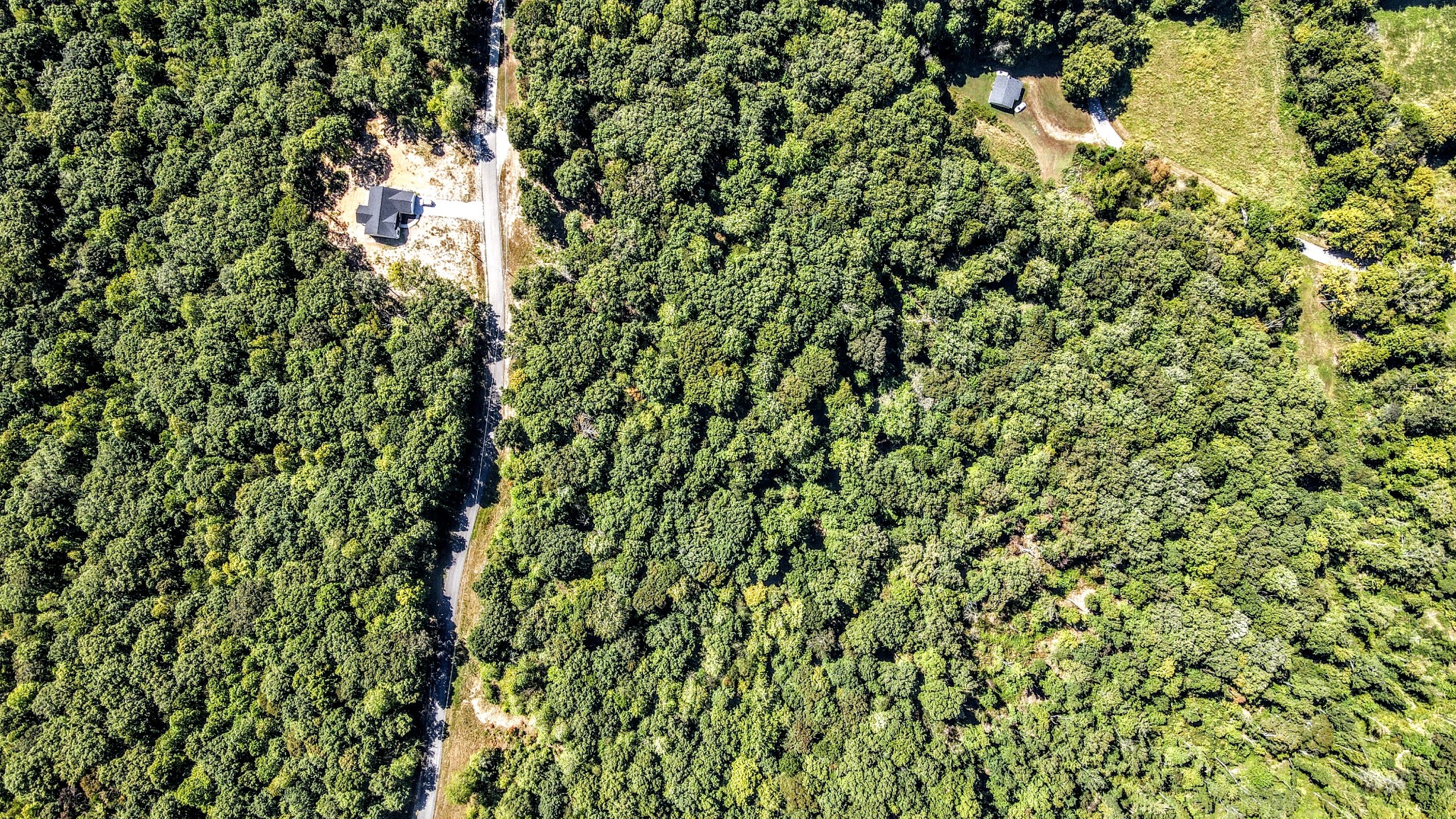 0 Mayne Trace Road Waverly, TN 37185 - Photo 7 of 9 a view of a tree with a tree