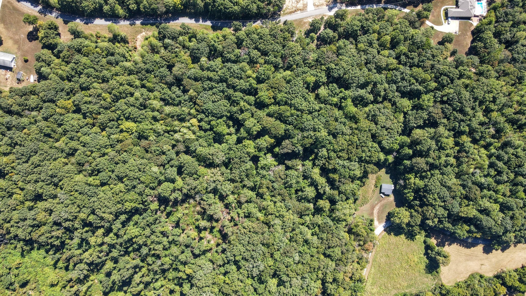 0 Mayne Trace Road Waverly, TN 37185 - Photo 8 of 9 a view of a lush green forest