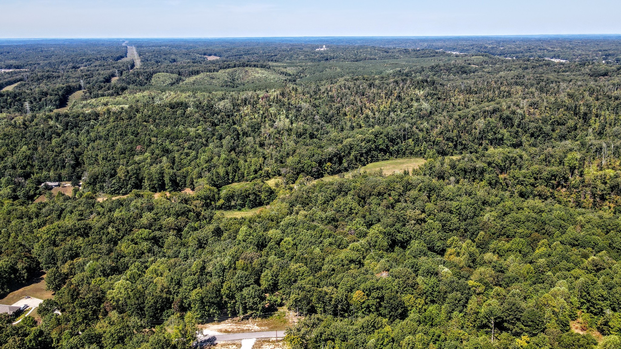 0 Mayne Trace Road Waverly, TN 37185 - Photo 9 of 9 a view of a forest with a street