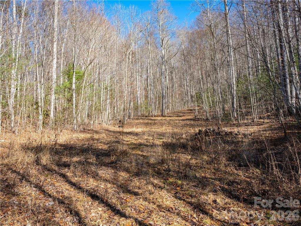 Tbd Long Branch Road Swannanoa, NC 28778 - Photo 11 of 18