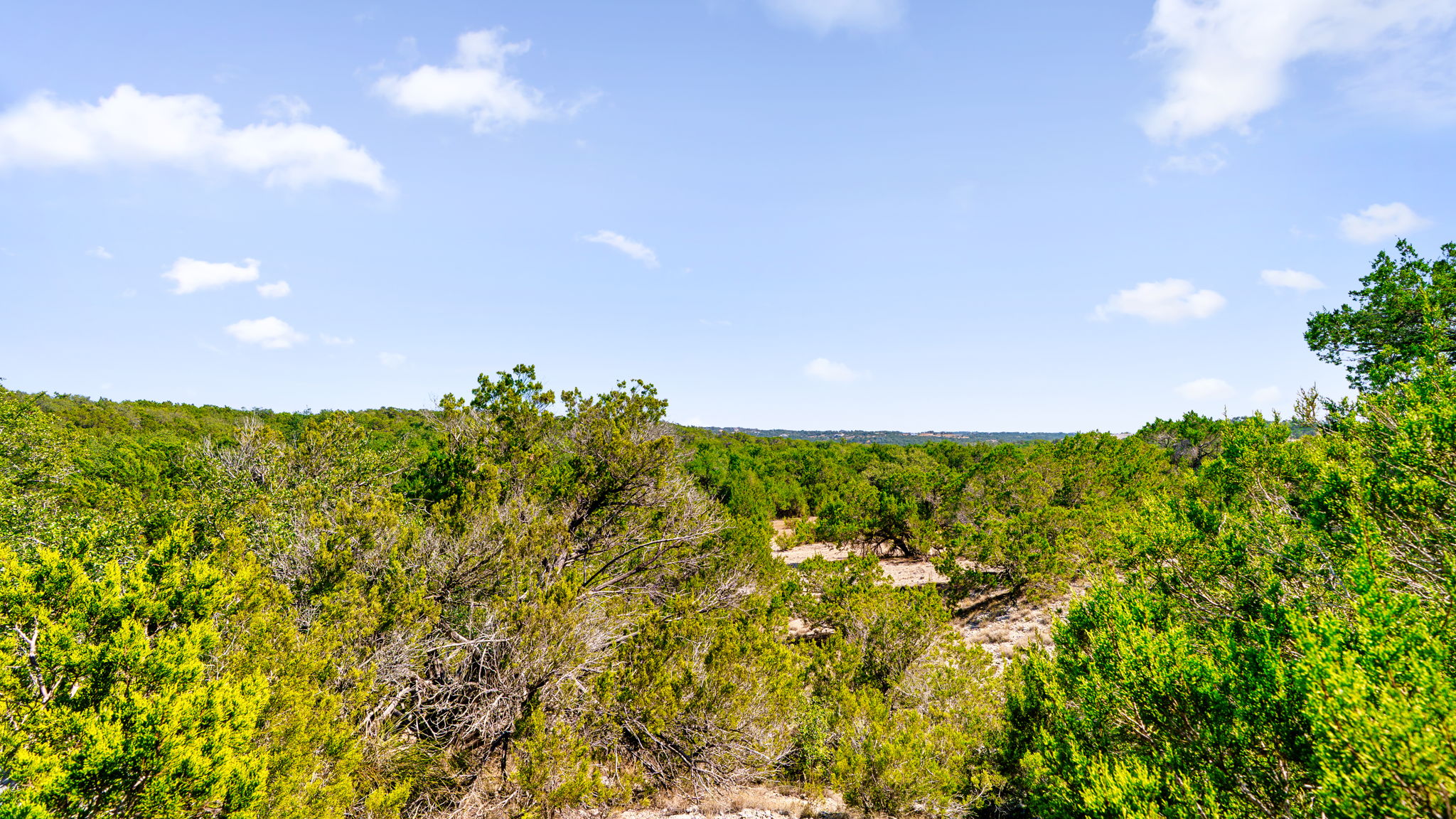 601 Hays Country Acres Road Dripping Springs, TX 78620 - Photo 3 of 35