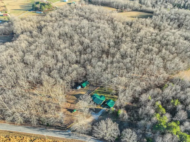 a close up of a plant