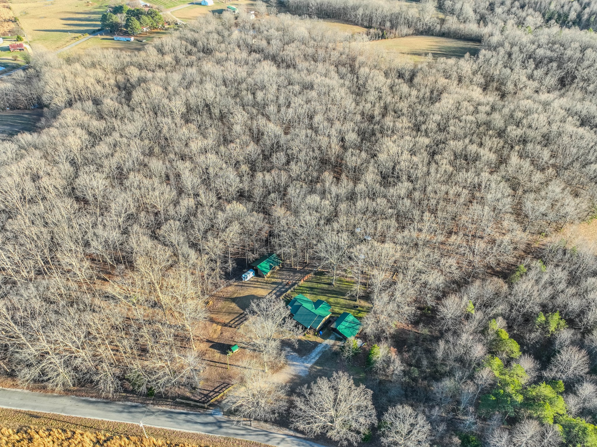 95 CC Road Lawrenceburg, TN 38464 - Photo 25 of 26 a view of a yard with plants