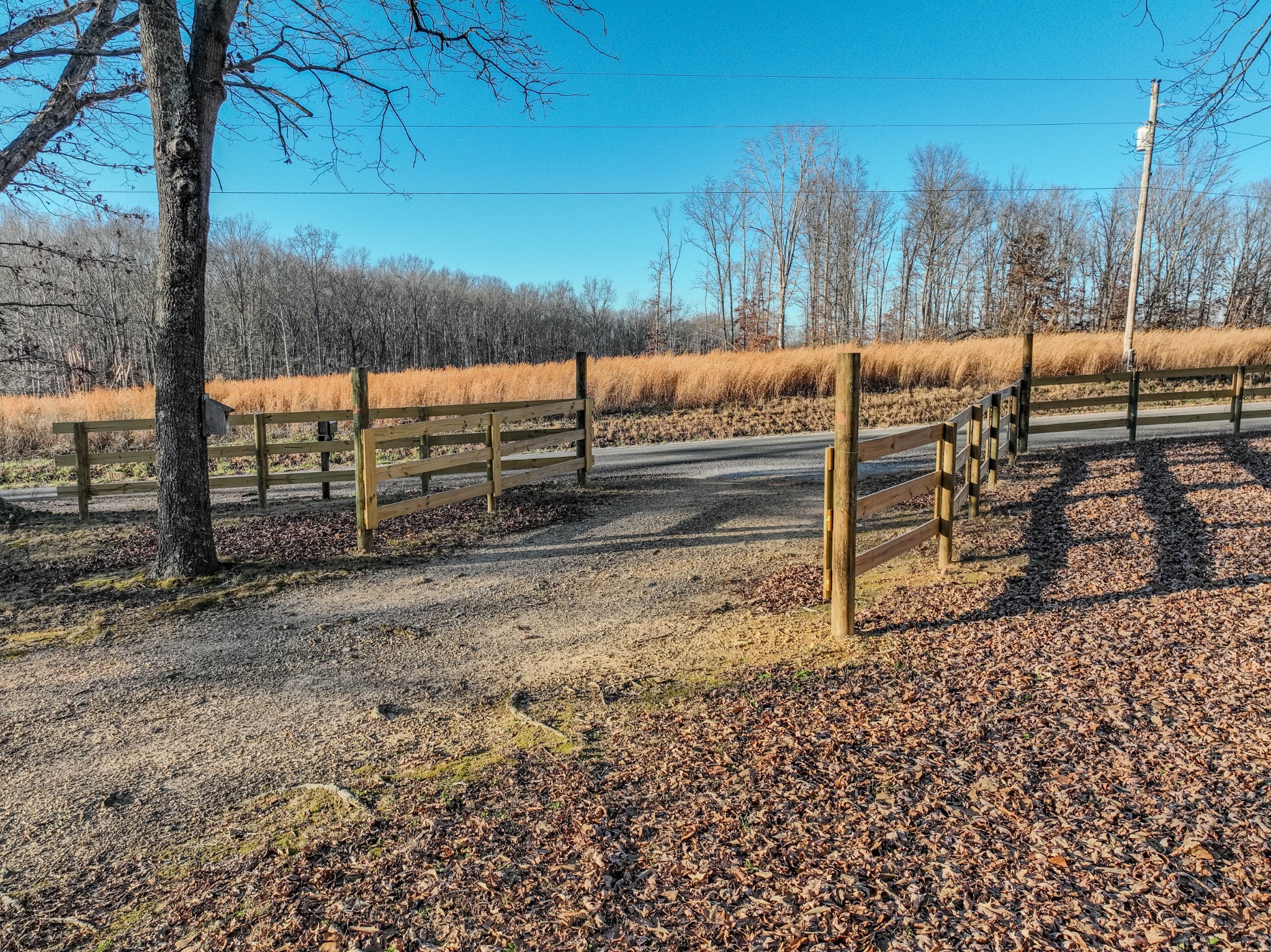 95 CC Road Lawrenceburg, TN 38464 - Photo 6 of 26 a view of a yard with wooden fence
