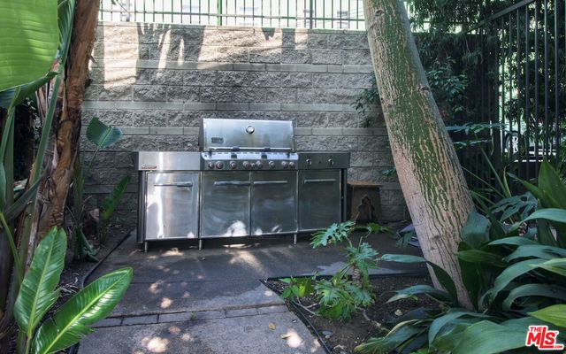 a view of a garden with plants