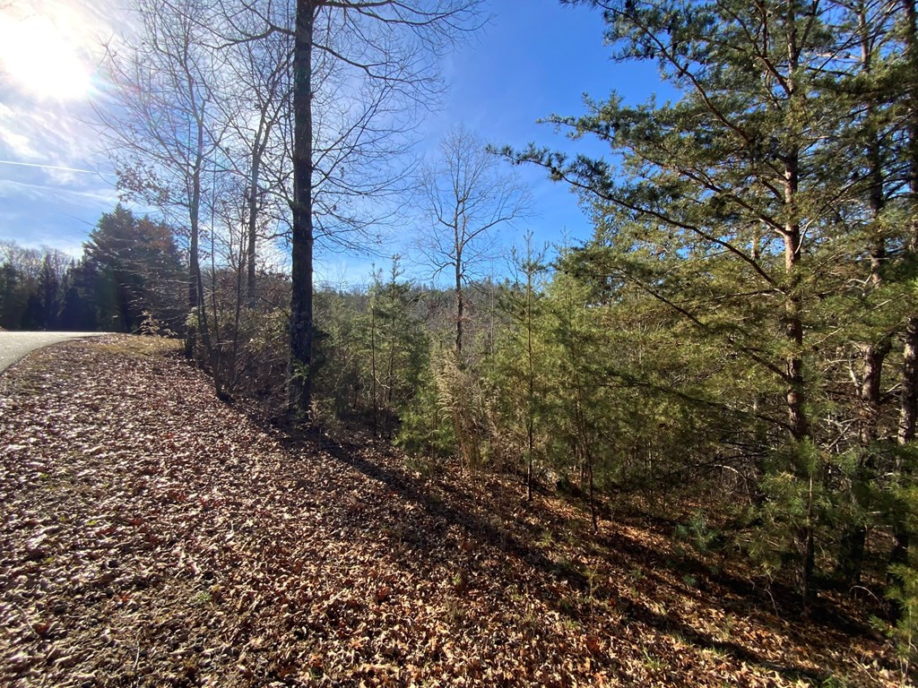 0 Brasstown View Road Murphy, NC 28906 - Photo 5 of 12