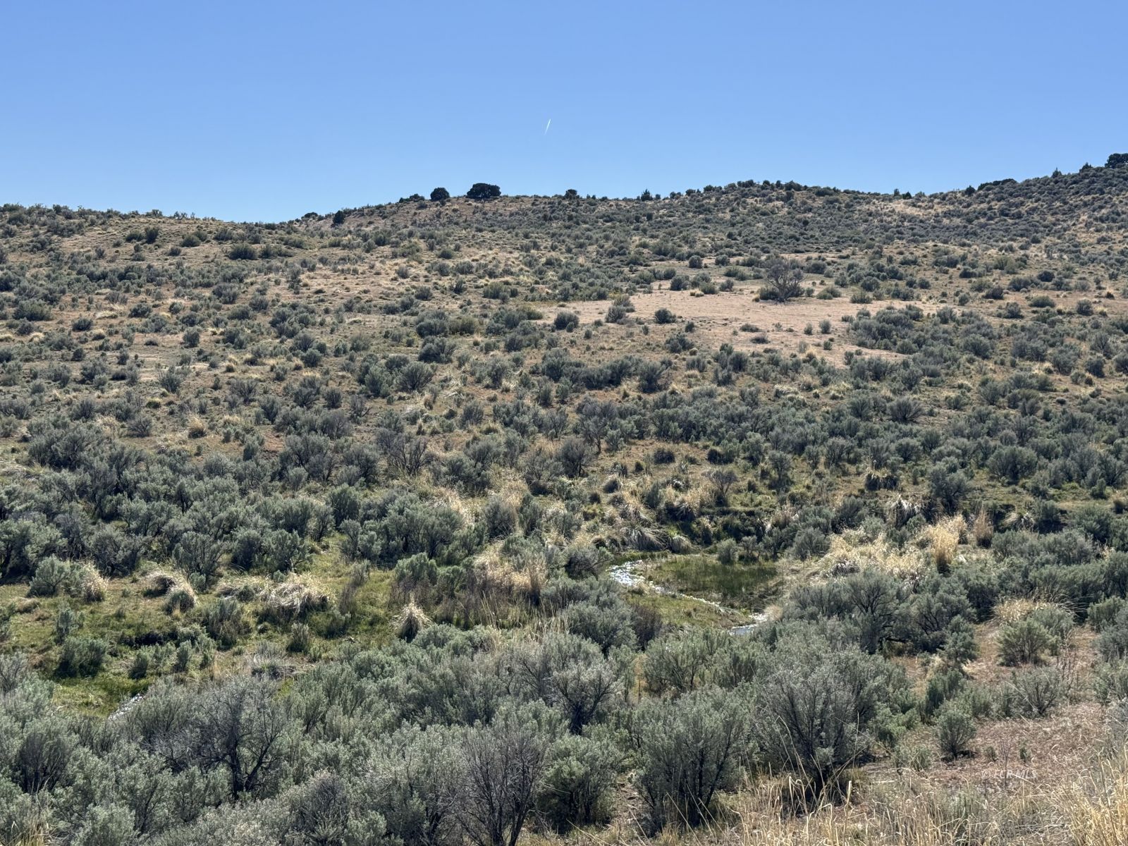Snobowl Road Elko, NV 89801 - Photo 9 of 20