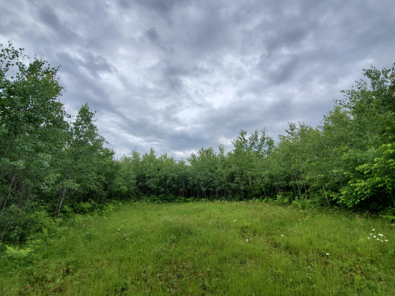 20-ac Lakewood Road Harshaw, WI 54529 - Photo 8 of 9 Gallery Image 8