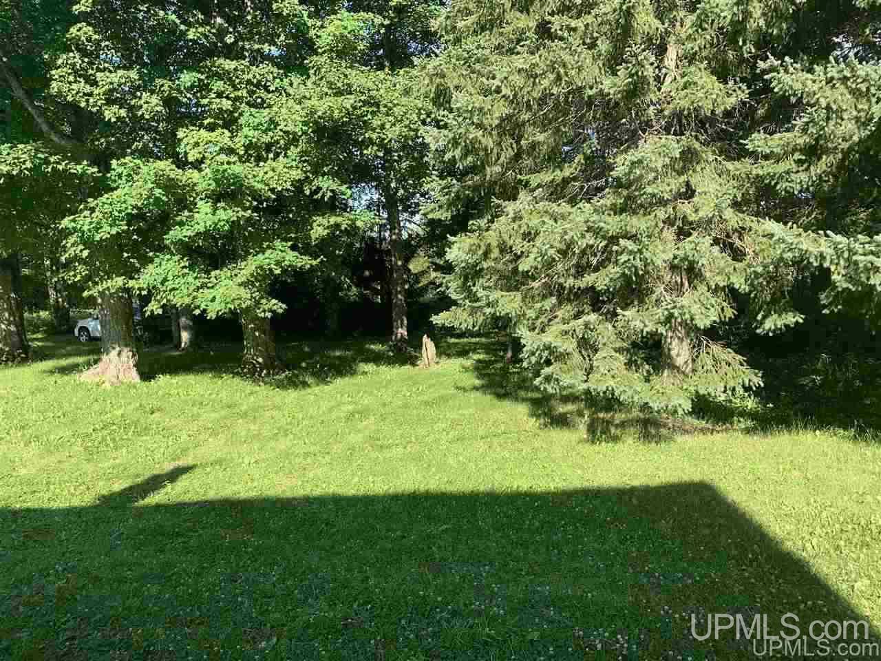 E3311 Co Road Trenary, MI 49891 - Photo 10 of 45