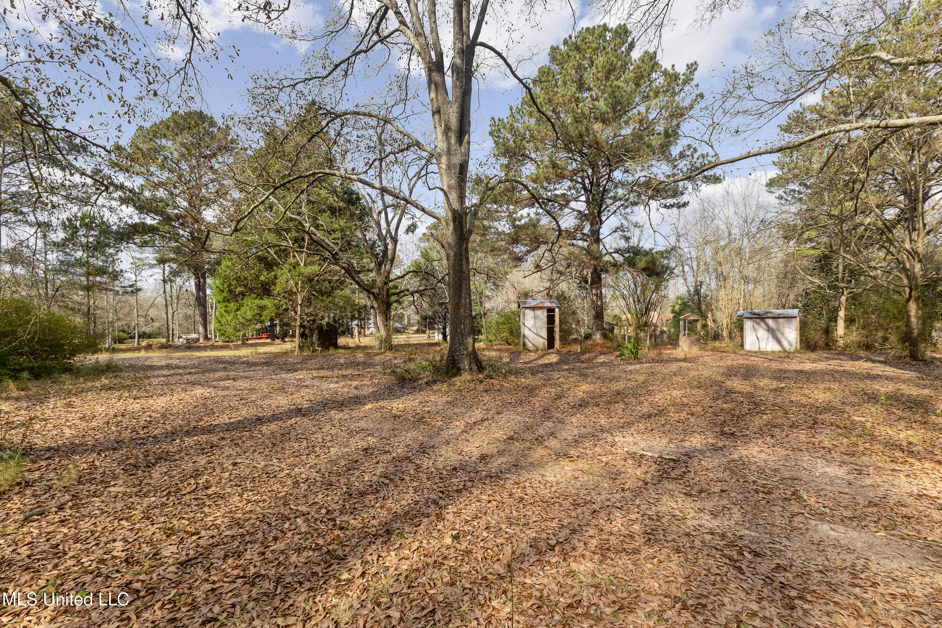 260 Crepe Myrtle Lane Laurel, MS 39443 - Photo 49 of 54 260_Crepe_Myrtle_Ln-49