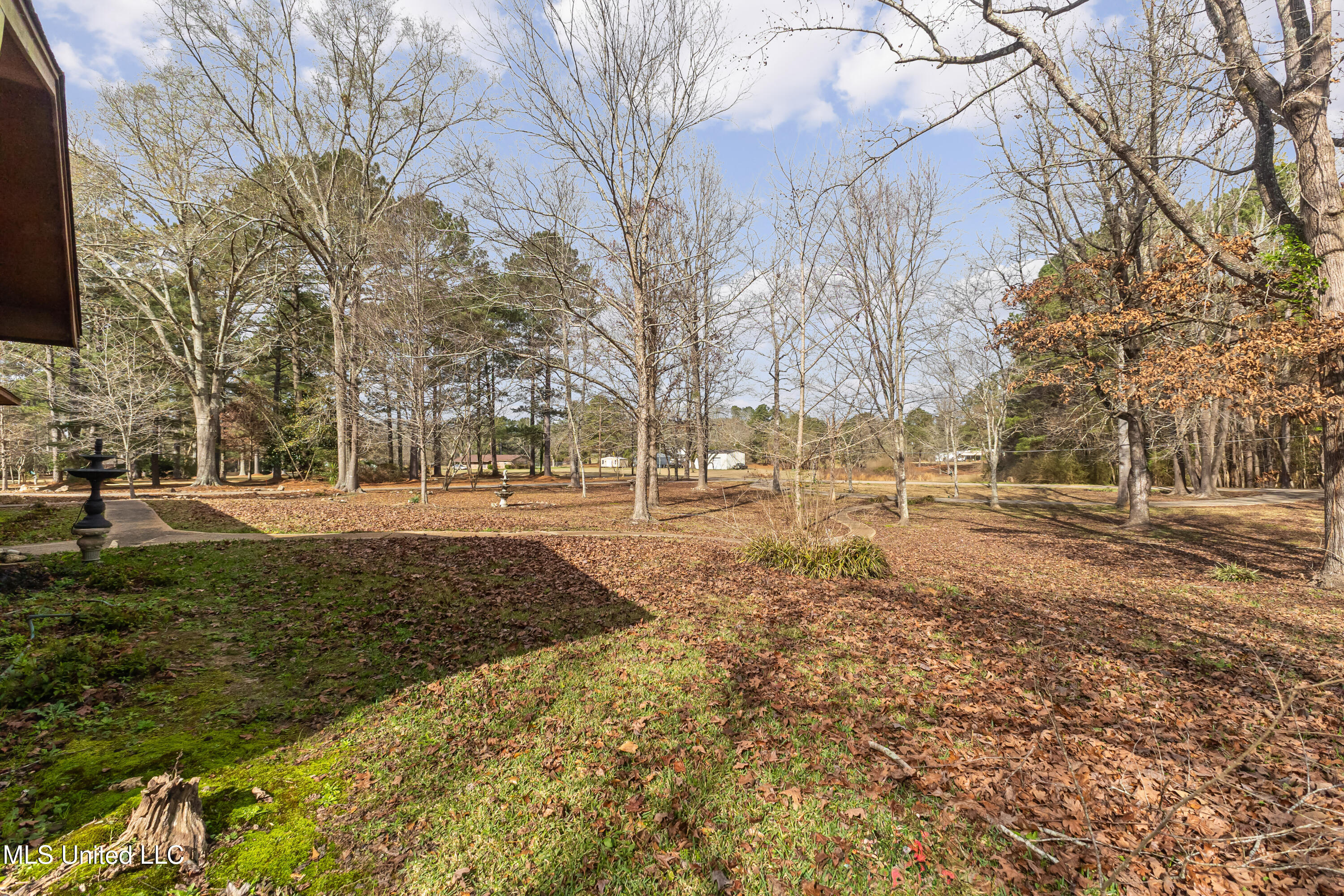 260 Crepe Myrtle Lane Laurel, MS 39443 - Photo 8 of 54 260_Crepe_Myrtle_Ln-8