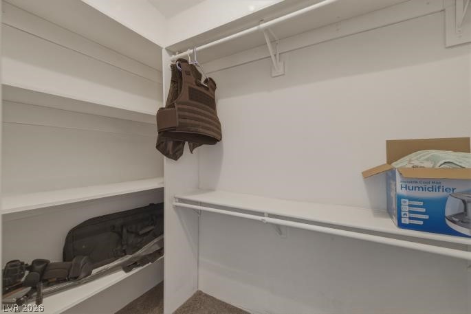 820 East Ft Carson Road Pahrump, NV 89060 - Photo 25 of 32 Primary walk-in closet