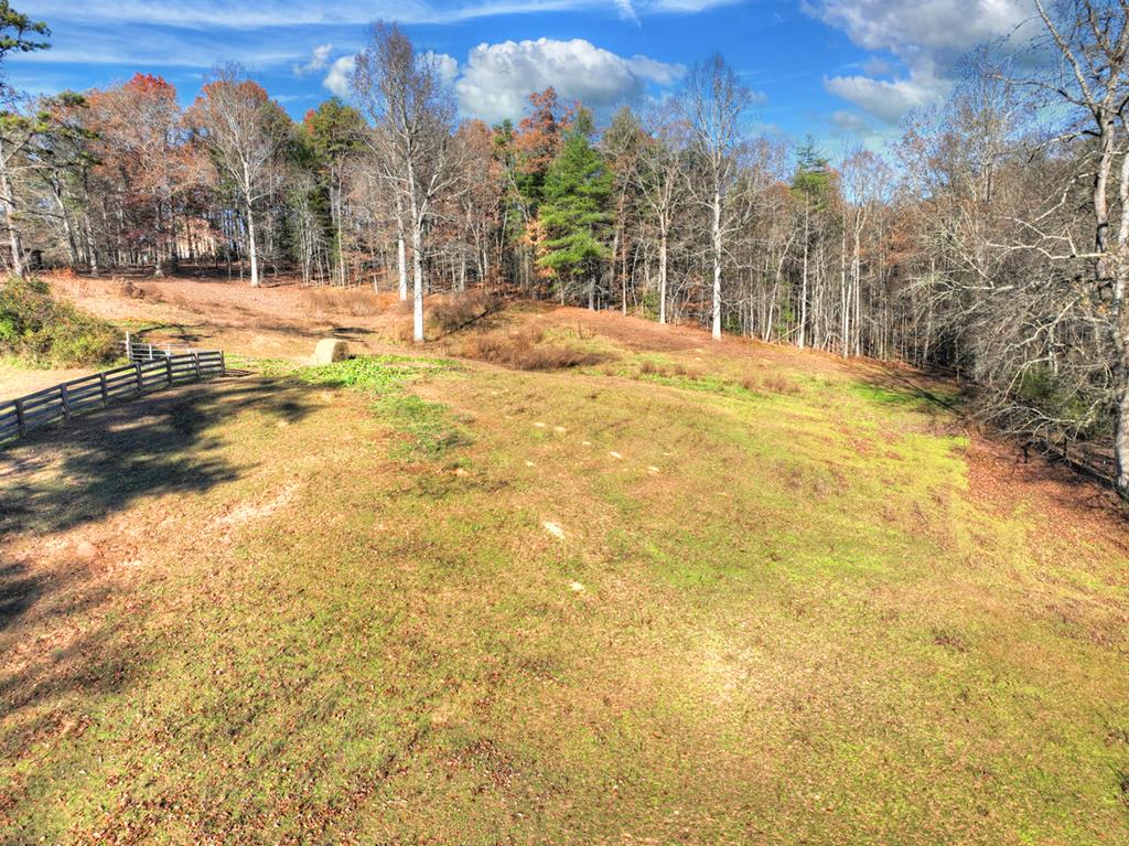 5491 Hardscrabble Road Mineral Bluff, GA 30559 - Photo 39 of 53 Gallery Image 39