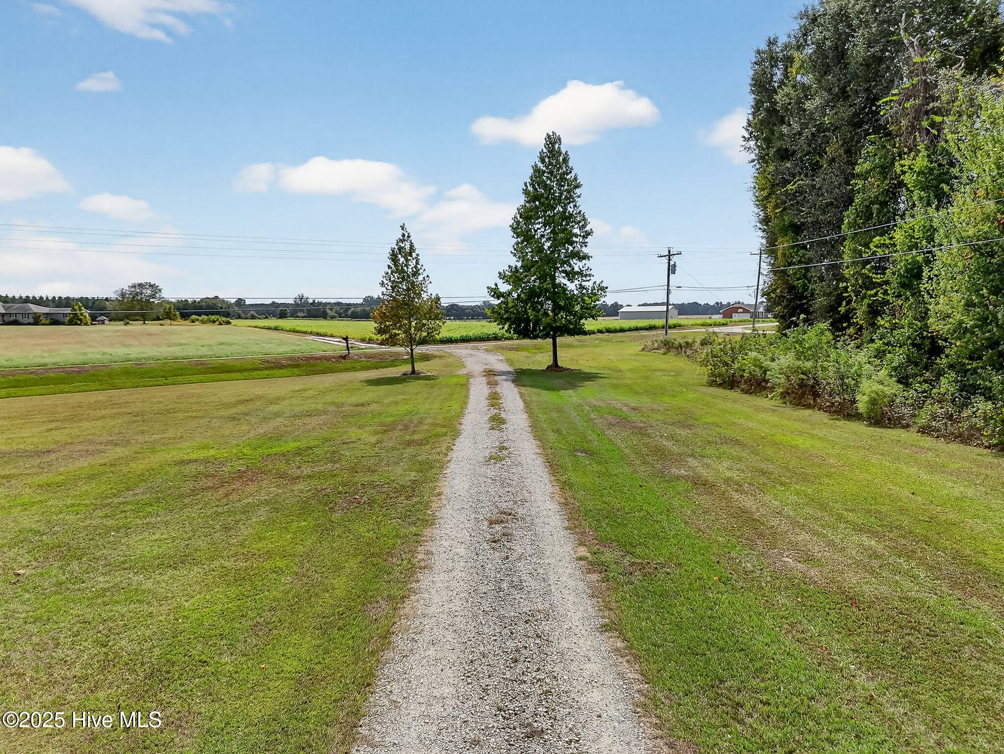 5130 Aldridge Store Road La Grange, NC 28551 - Photo 54 of 60 54-web-or-mls-004_DJI_20251001132935_003