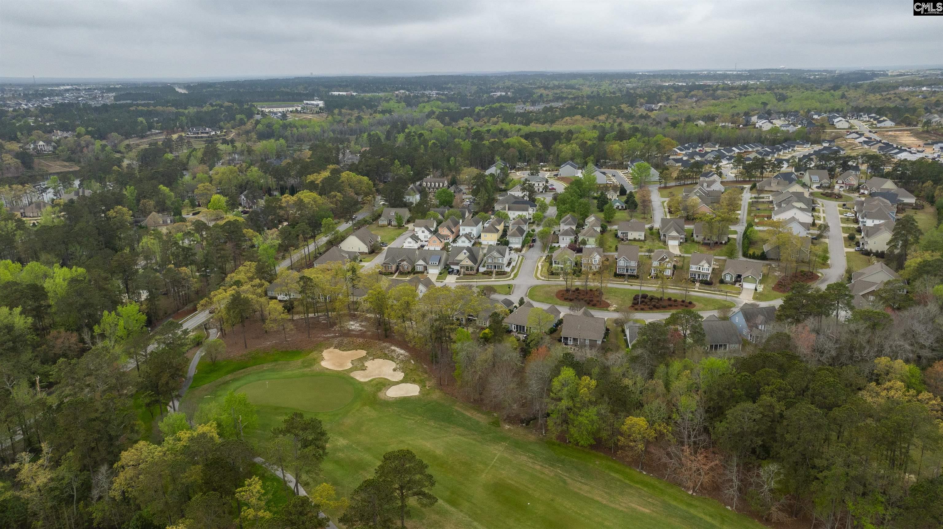 250 Thacher Loop Elgin, SC 29045 - Photo 71 of 73