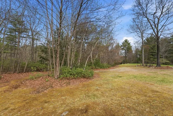 a view of a yard with trees