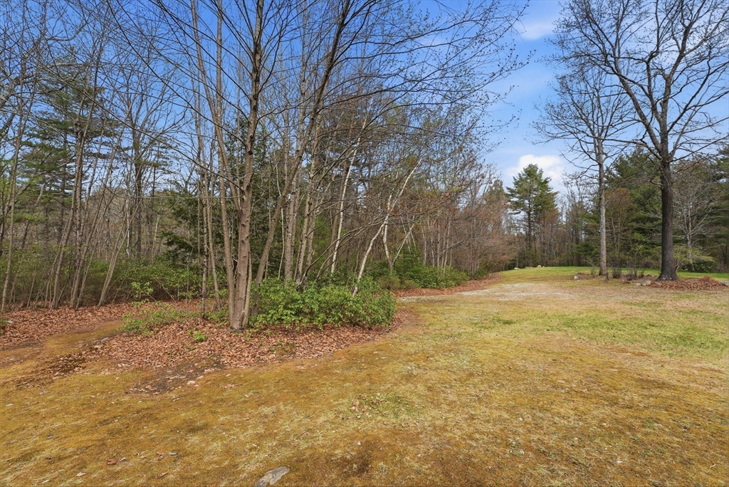 110 Turkey Hill Road Northampton, MA 01062 - Photo 32 of 42 a view of a yard with trees