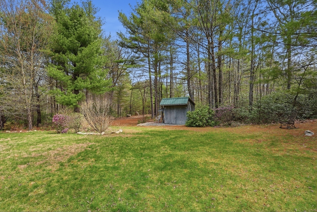 110 Turkey Hill Road Northampton, MA 01062 - Photo 33 of 42 a view of a backyard with large trees