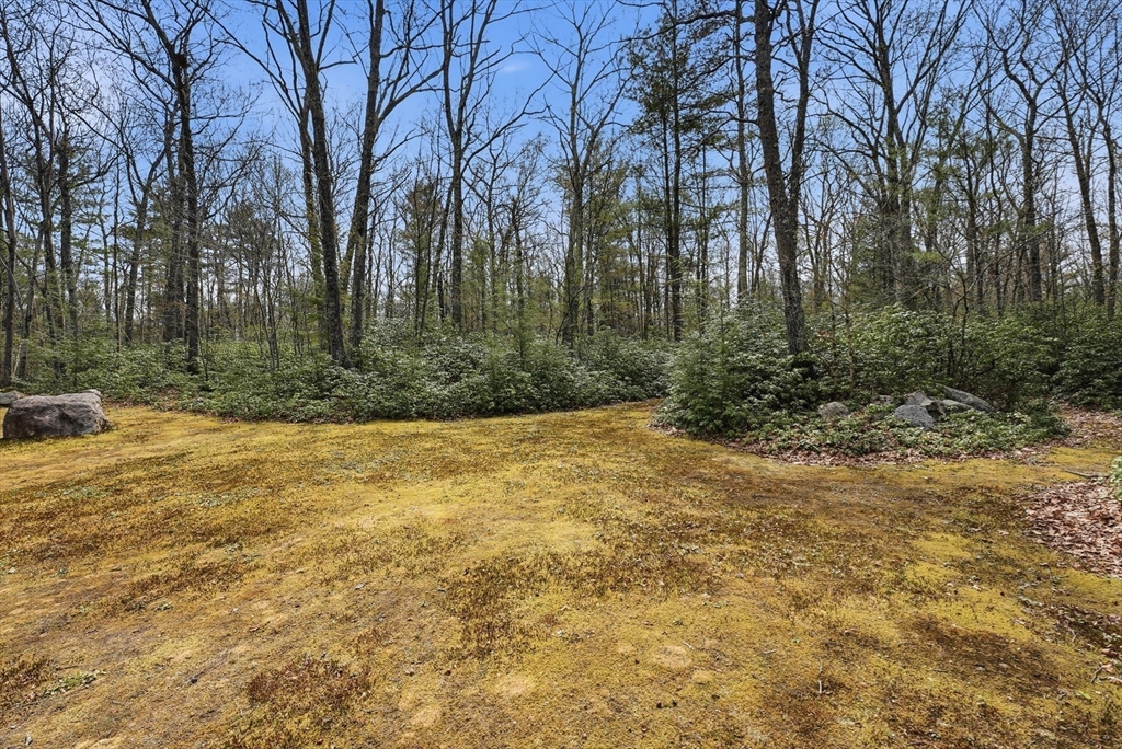 110 Turkey Hill Road Northampton, MA 01062 - Photo 35 of 42 a view of backyard with outdoor space